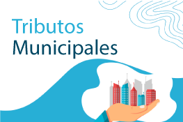 Imagen buscada visualmente